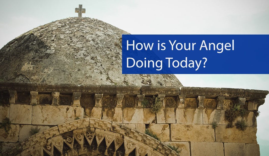 How Is Your Angel Doing Today?