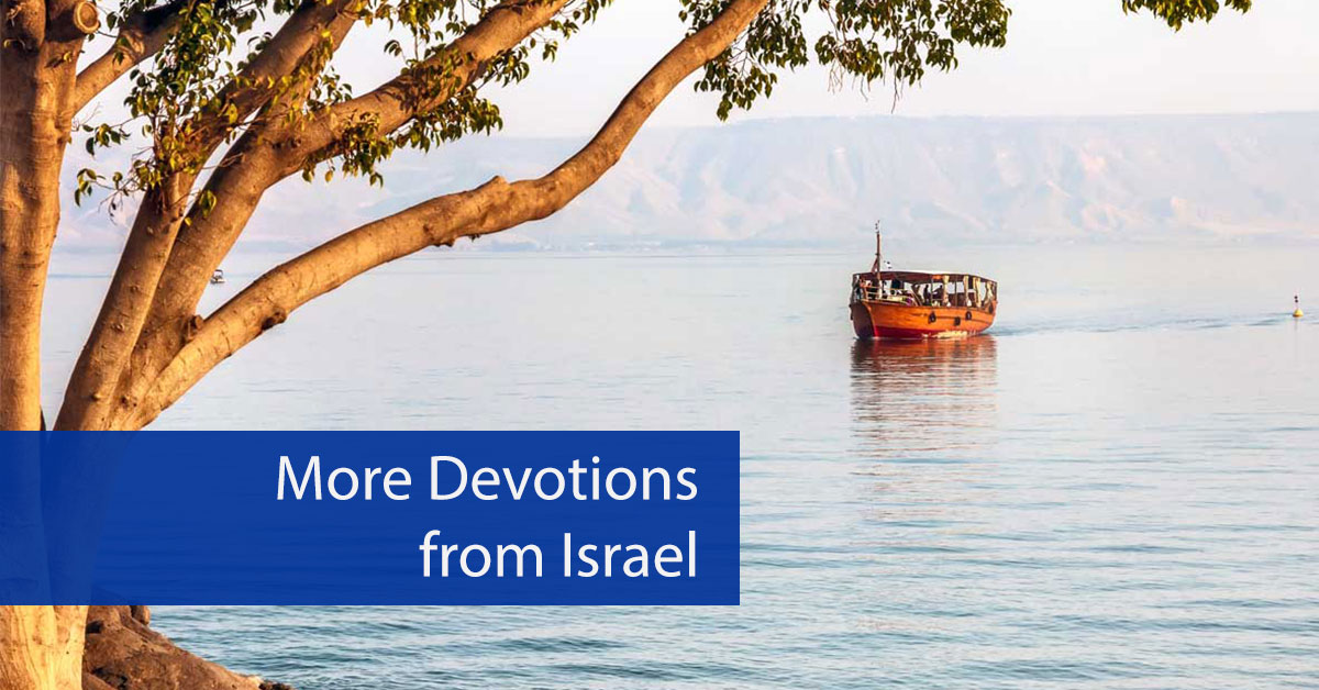 More Devotions From Israel - 