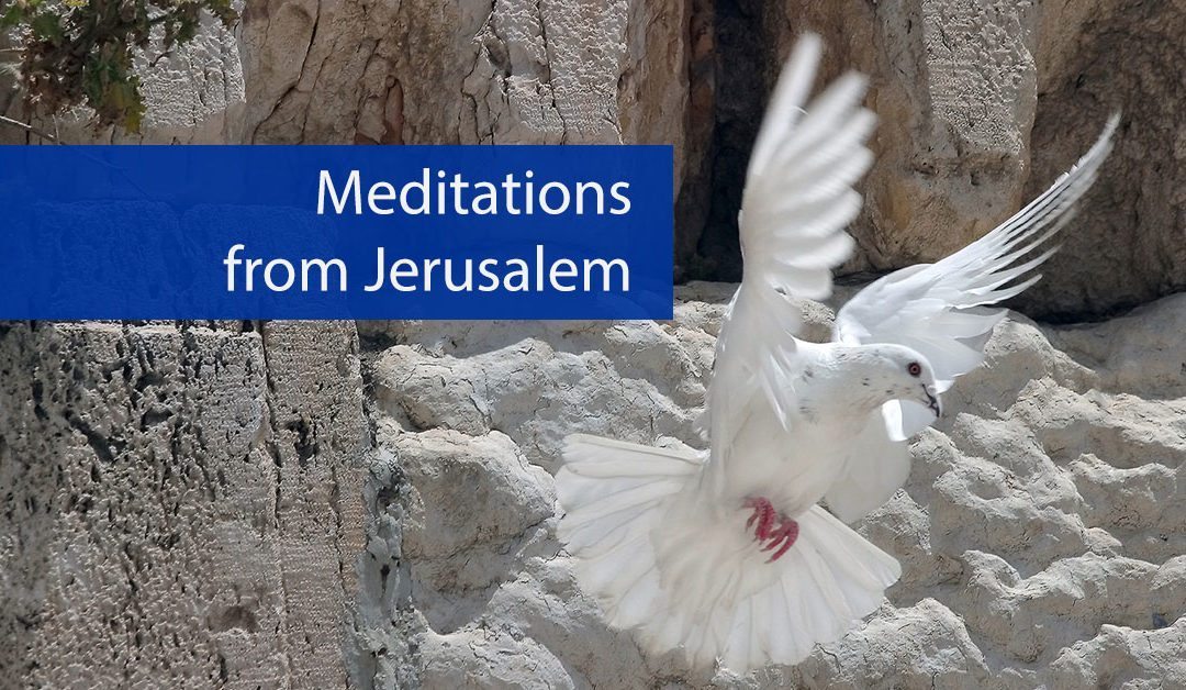 Meditations from Jerusalem