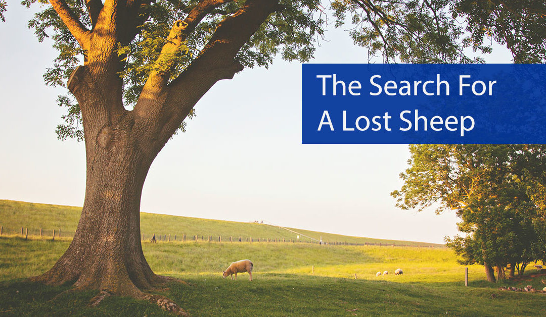 The Search for a Lost Sheep