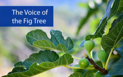 The Voice of the Fig Tree