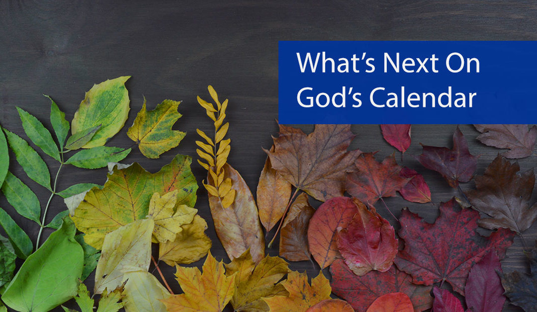 What’s Next on God’s Calendar