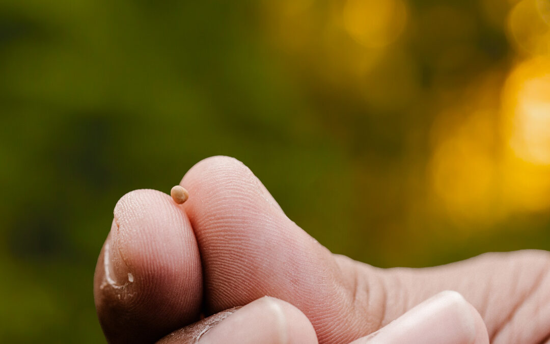 Never Give Up On Your Dreams