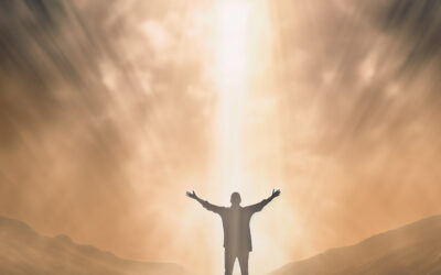 How Is Your Angel Doing Today?